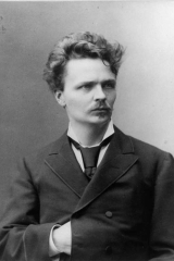 Sg16 Fotograf: Roesler, Robert Motiv: August Strindberg Ort och Âr: Stockholm 1881