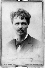 Sg20 Fotograf: Wegener, Otto Motiv: August Strindberg Ort och Âr: Paris 1884